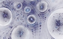 2014 04 14 Plastic 38-white.jpg